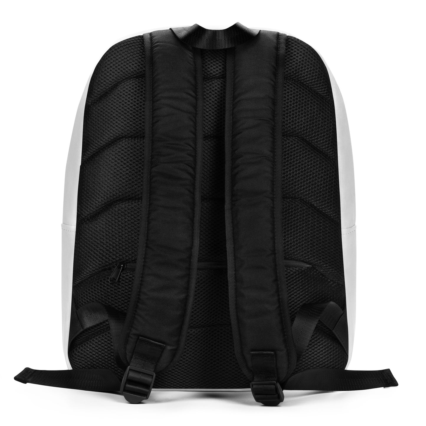 Roblox Pls Donate Backpack